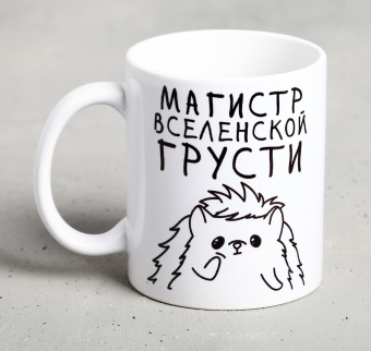 Кружка «Магистр вселенской грусти», 300 мл 4609337